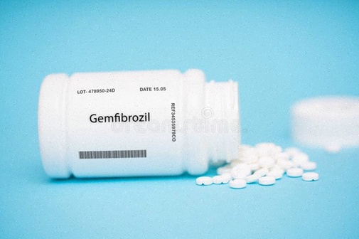 gemfibrozil